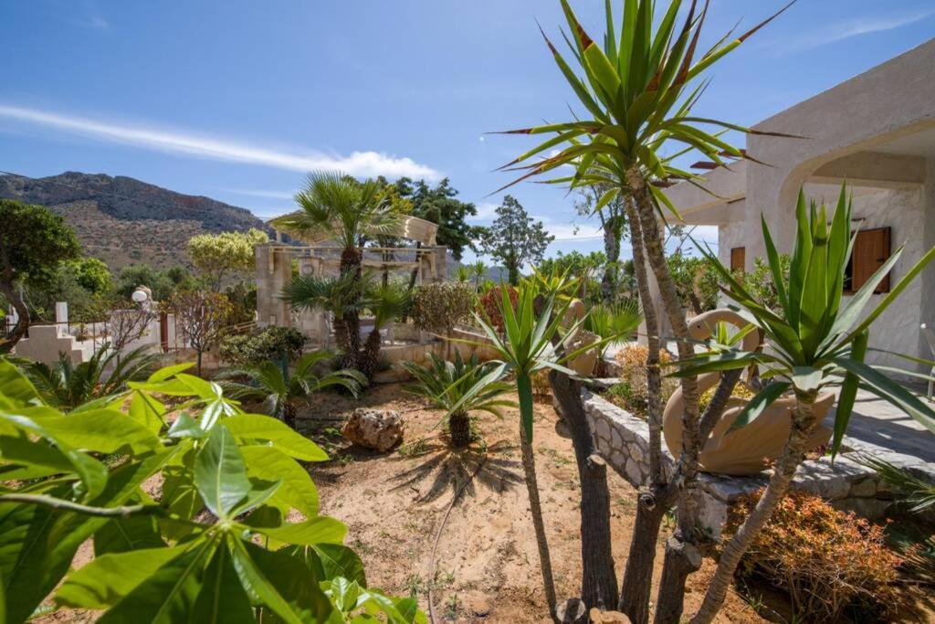 Villa Renas Secret Garden House à La Canée Extérieur photo